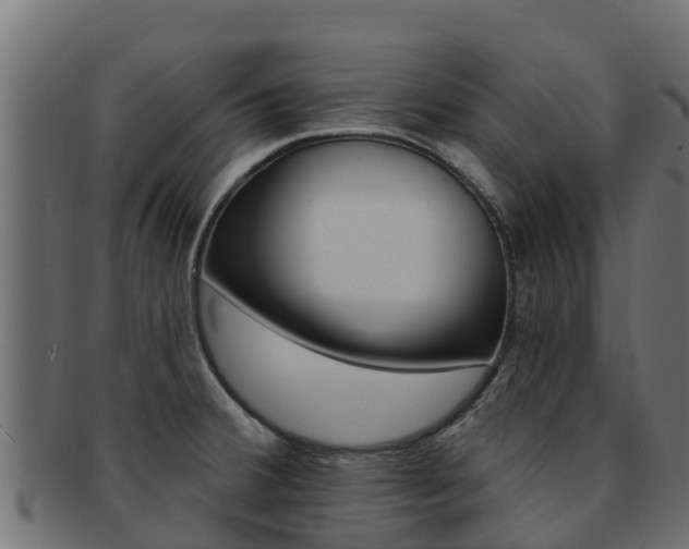 X0000092321380200709141042