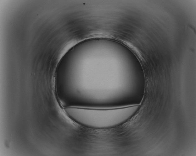 X0000092321383200709141042