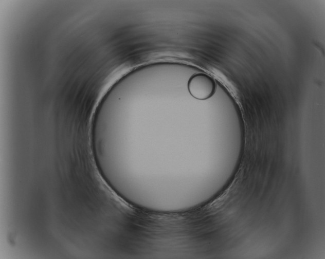 X0000092321384200709141042