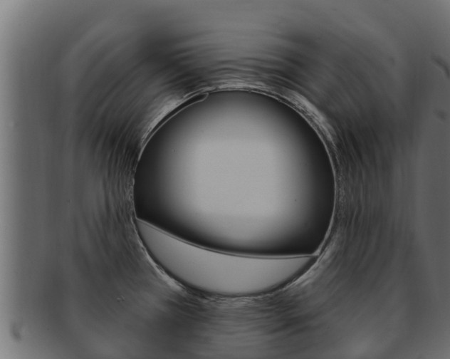 X0000092321385200709141042