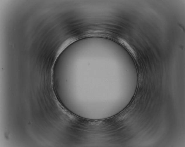 X0000092321386200709141042
