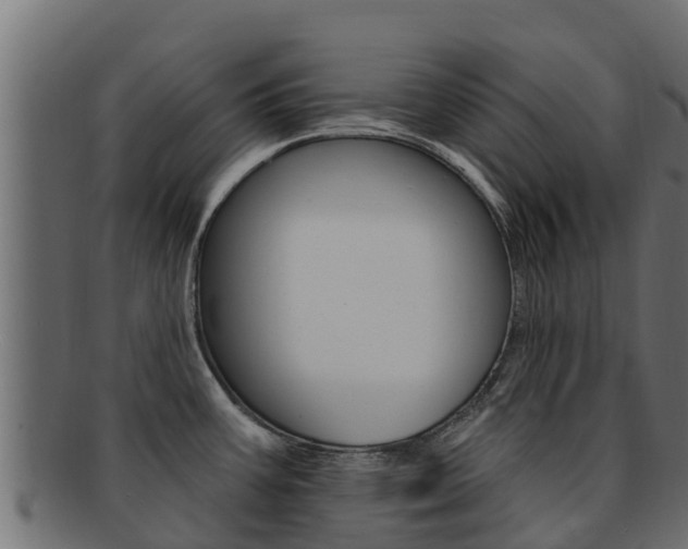 X0000092321387200709141042