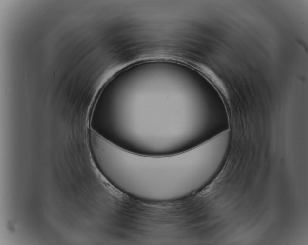 X0000092321388200709141042