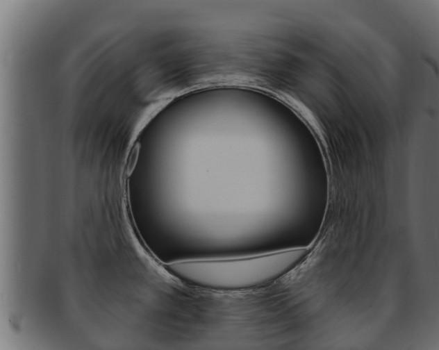 X0000092321389200709141042