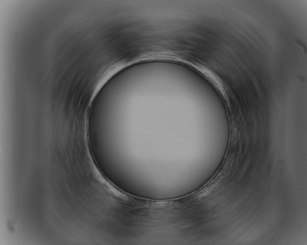 X0000092321390200709141042