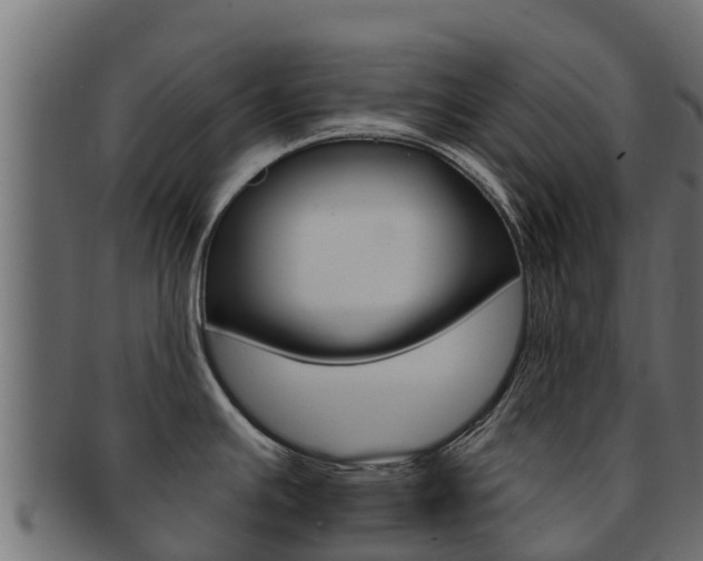 X0000092321391200709141042