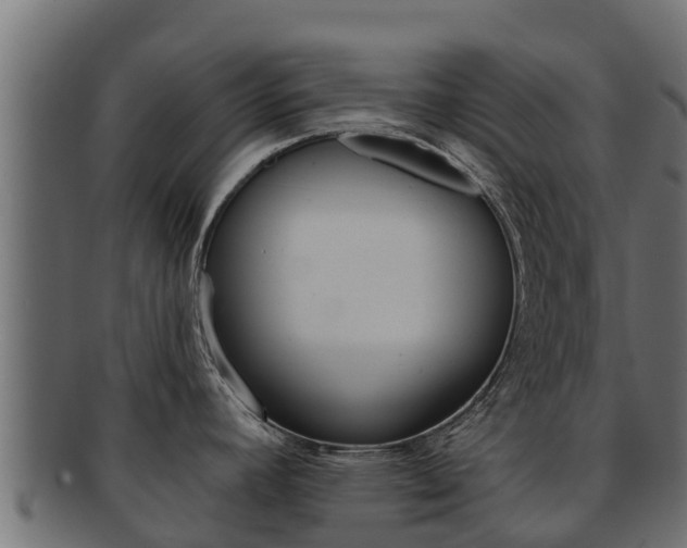 X0000092321392200709141042