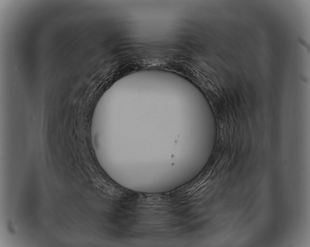 X0000092321393200709141042