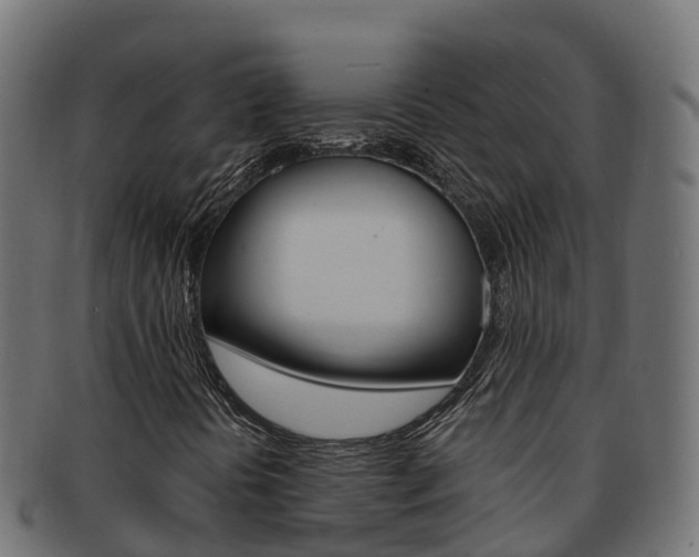 X0000092321394200709141042