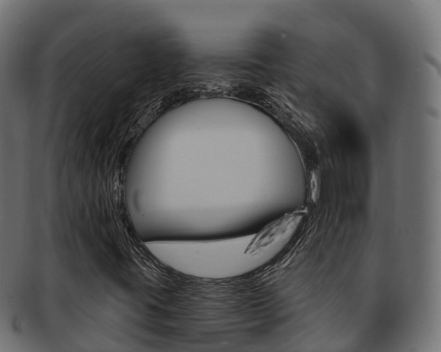 X0000092321395200709141042