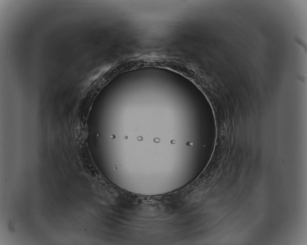 X0000092321398200709141042