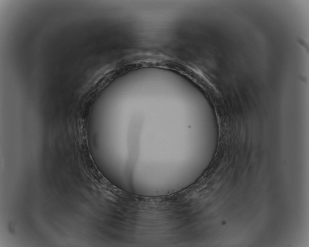 X0000092321399200709141042