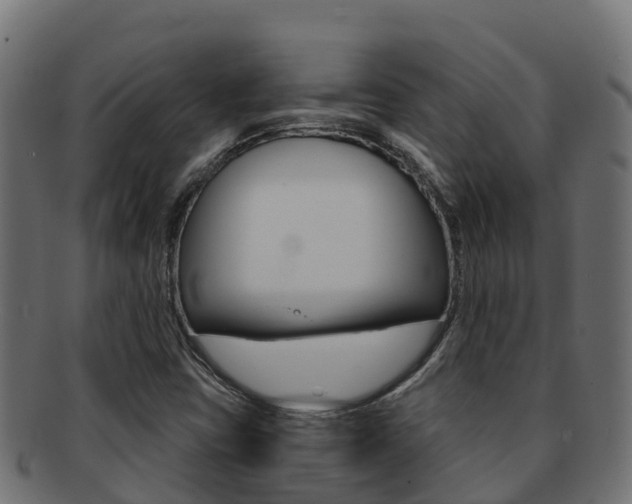 X0000092321403200709141042