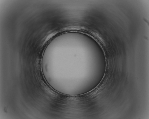 X0000092321404200709141042
