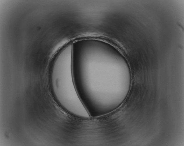 X0000092321406200709141042