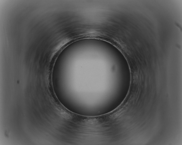X0000092321410200709141042
