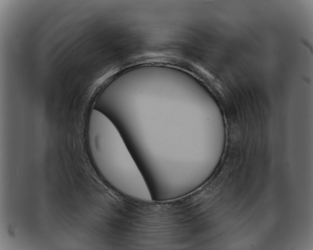 X0000092321411200709141042