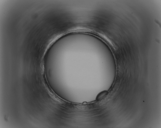 X0000092321413200709141042