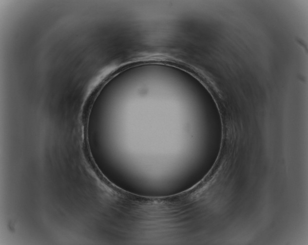 X0000092321414200709141042