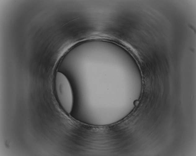 X0000092321415200709141042