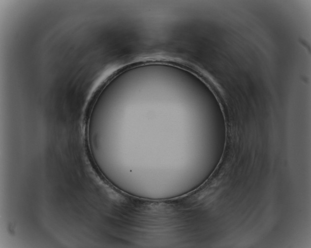 X0000092321416200709141042