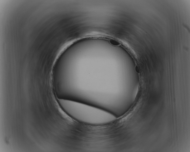X0000092321421200709141042