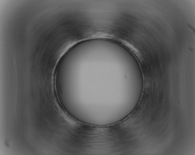 X0000092321423200709141042