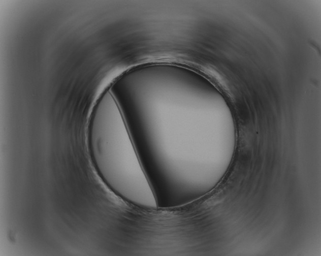X0000092321424200709141042