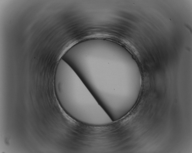 X0000092321425200709141042