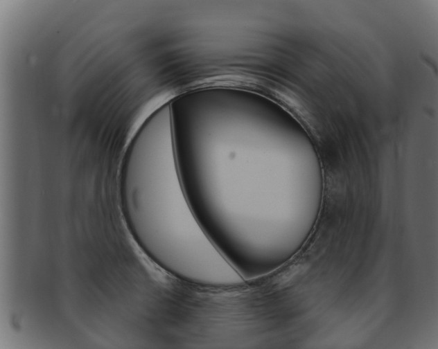 X0000092321426200709141042