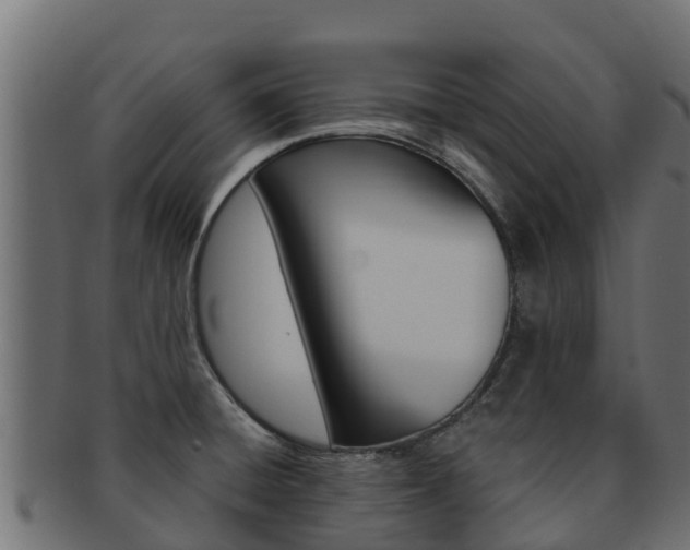 X0000092321428200709141042