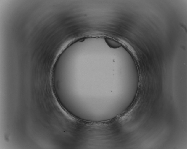 X0000092321429200709141042