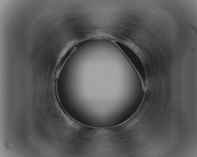 X0000092321430200709141042