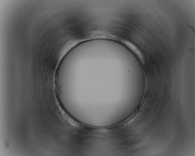 X0000092321431200709141042