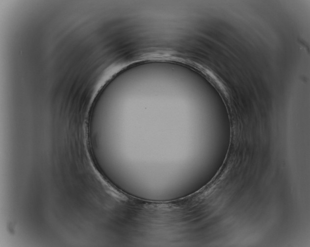 X0000092321432200709141042