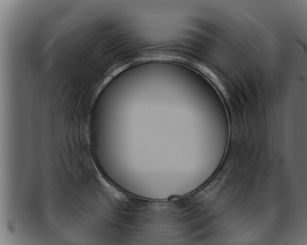 X0000092321433200709141042