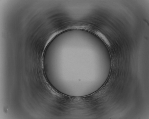 X0000092321436200709141042