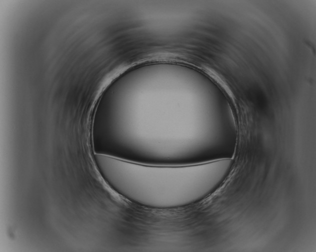 X0000092321437200709141042