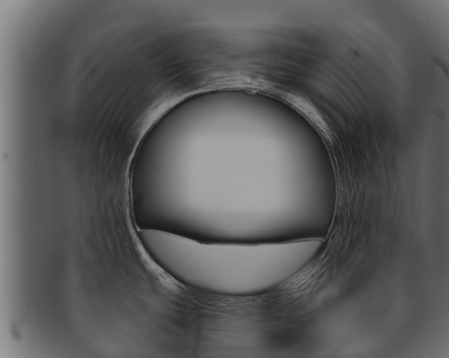 X0000092321439200709141042
