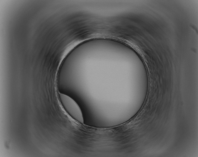 X0000092321440200709141042