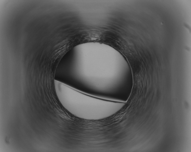 X0000092321442200709141042