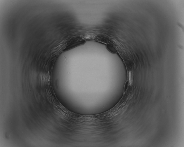 X0000092321443200709141042