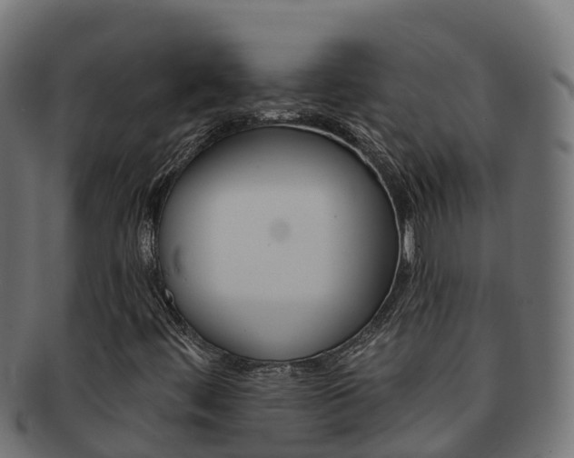 X0000092321444200709141042