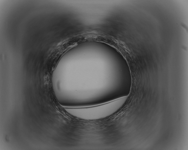 X0000092321445200709141042