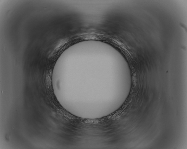 X0000092321446200709141042