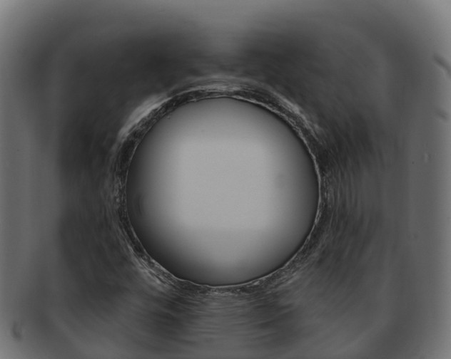 X0000092321448200709141042