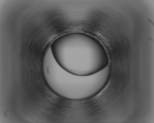 X0000092321449200709141042
