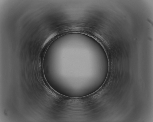 X0000092321450200709141042