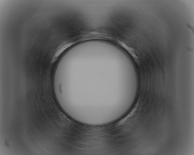 X0000092321453200709141042