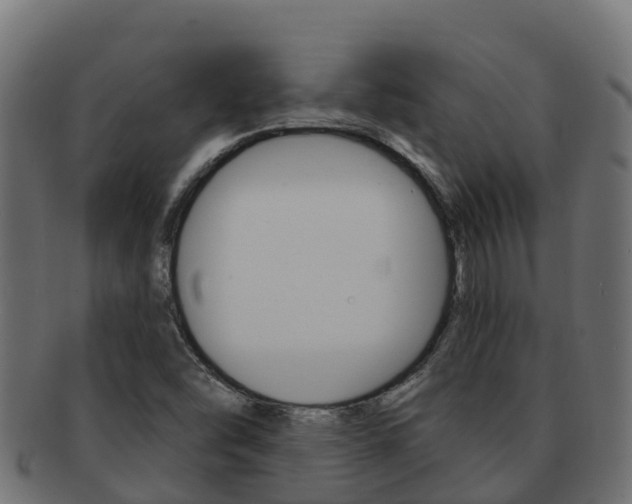 X0000092321454200709141042